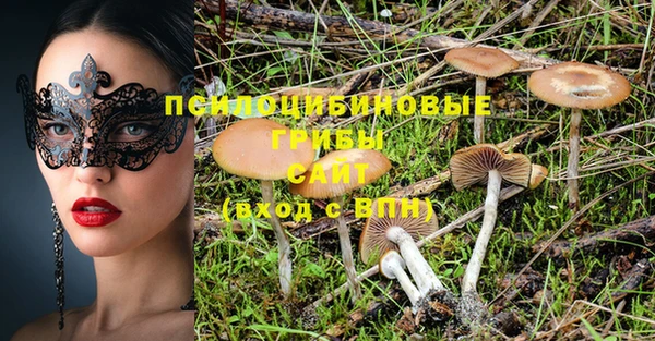 стаф Балахна