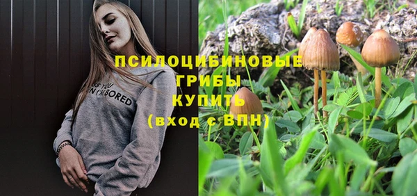 сатива Зеленодольск
