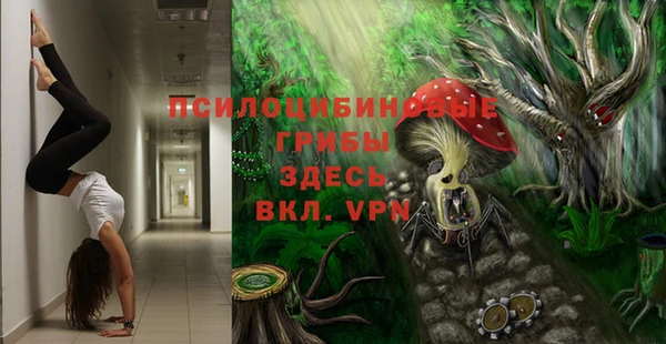 стаф Балахна