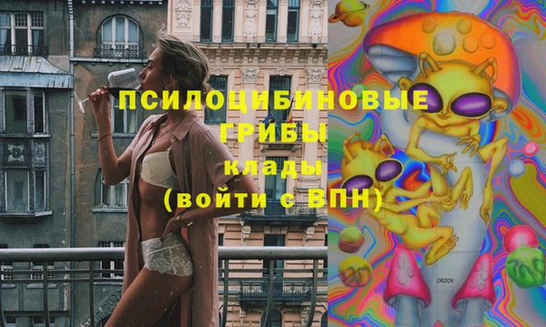 эйфоретик Белокуриха
