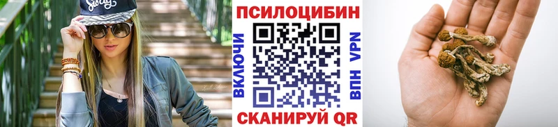 маркетплейс состав  Великие Луки  Псилоцибиновые грибы GOLDEN TEACHER 